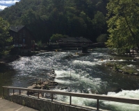 IMG 3461
