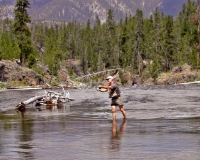 Casting flys..